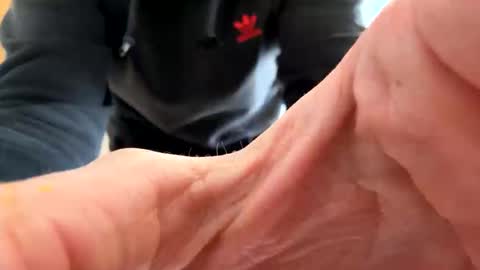 JMS online show from March 2026 01:44:02 PM