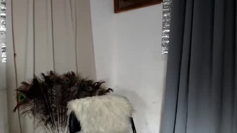 Snapshot of 18_nicole chatting on February 2026 01:58:01 PM barbie online show from February 2026 01:58:01 PM