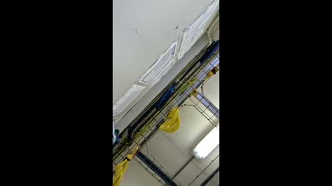 Snapshot of 1971berliner chatting on February 2026 12:03:01 PM 1971berliner online show from February 2026 12:03:01 PM