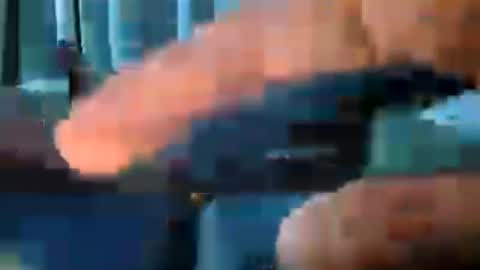 1inchpunchy online show from July 2026 10:11:01 AM