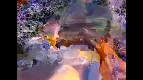 MED online show from March 2026 09:29:02 PM