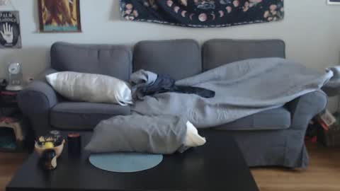 Anomander Rake online show from March 2026 01:07:02 PM