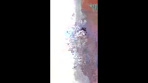 Zeus online show from April 2026 11:23:01 AM