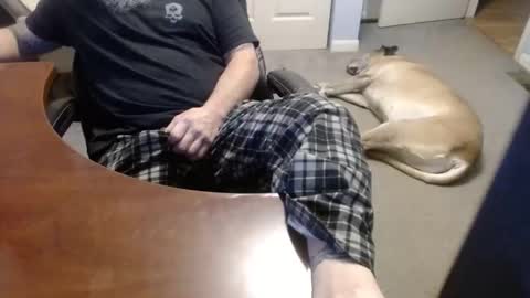 MASTIFF online show from December 2025 07:32:01 PM