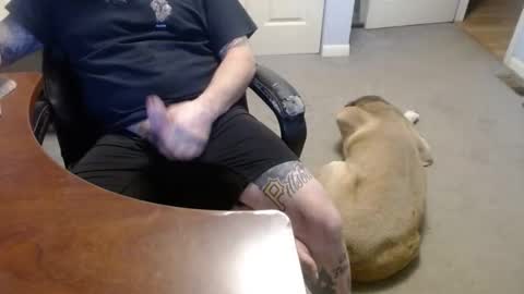 MASTIFF online show from January 2026 03:10:01 AM