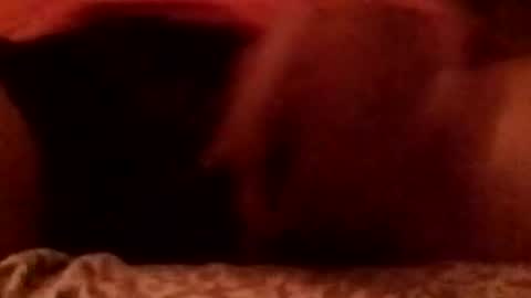 Snapshot of 8inchhardbr chatting on February 2026 03:59:02 AM 8inchhardbr online show from February 2026 03:59:02 AM