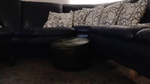 b0rn4porn online show from September 2025 12:00:02 AM