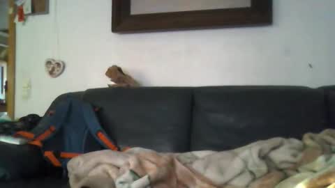 b0rn4porn online show from April 2026 05:33:02 PM