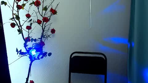 _cutie_and_shy_ online show from April 2026 06:40:01 AM
