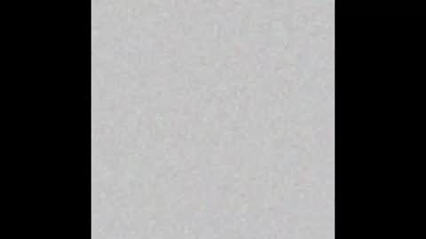 _tammarra_ online show from March 2026 08:23:01 PM