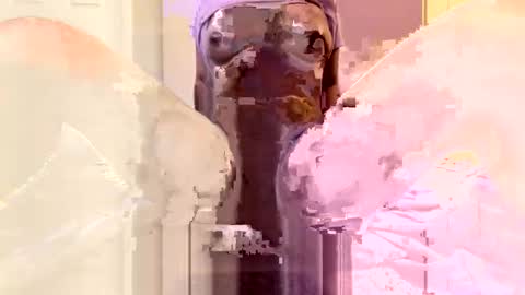 a787801 online show from March 2026 05:38:01 PM