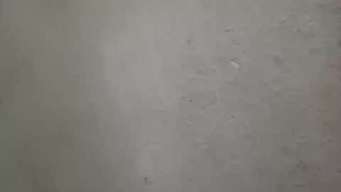 absltorres8 online show from July 2026 07:57:01 AM