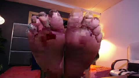 adam_fit19cm online show from April 2026 01:56:01 PM