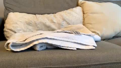 canadianboy92 online show from November 2025 04:52:01 PM