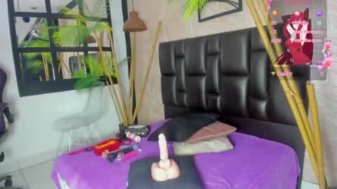 Snapshot of alana_bonny chatting on March 2026 11:15:02 AM Alana online show from March 2026 11:15:02 AM