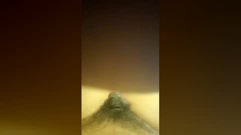 aldenbravo2022 online show from April 2026 12:02:01 AM