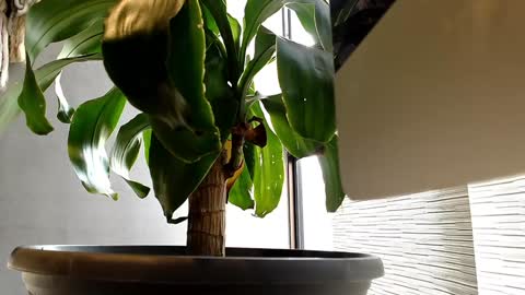 Snapshot of alexanddani chatting on January 2025 09:25:02 PM Alex Dani online show from January 2025 09:25:02 PM