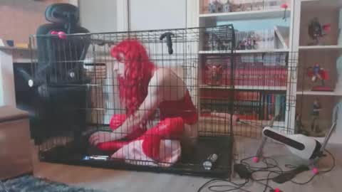 alexas_owned_bitch online show from May 2026 08:04:02 PM