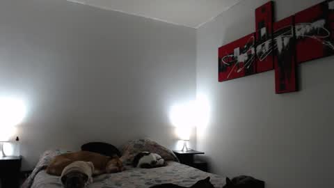 cami online show from March 2025 07:24:01 AM