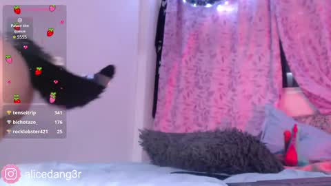 Alice  online show from December 2024 05:13:01 AM