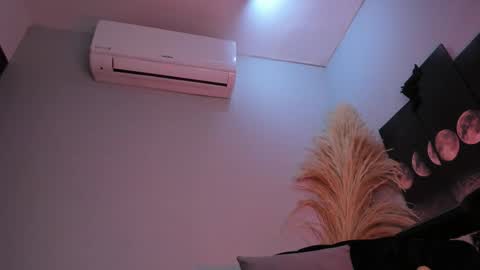 ALICE  online show from January 2026 10:24:02 PM