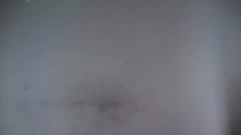 Alice online show from July 2026 12:44:01 PM