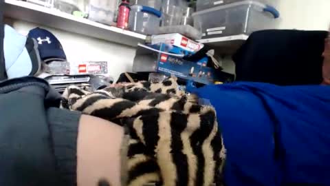 allwolf0323 online show from March 2026 09:32:02 PM