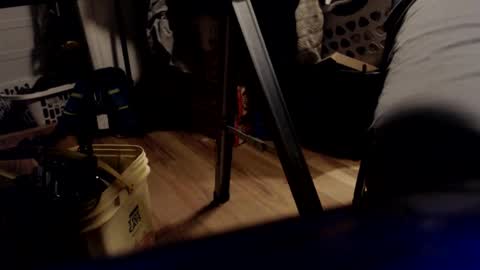 allwolf0323 online show from March 2026 10:42:01 AM