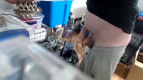 allwolf0323 online show from April 2026 04:02:02 PM