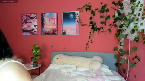 Snapshot of amelia__goth chatting on May 2026 11:16:02 AM amelia__goth online show from May 2026 11:16:02 AM