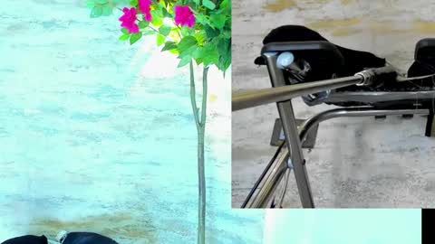  AMELIA.  online show from March 2026 01:33:02 AM