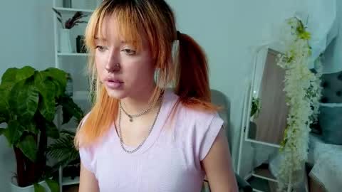    online show from April 2026 11:05:02 AM