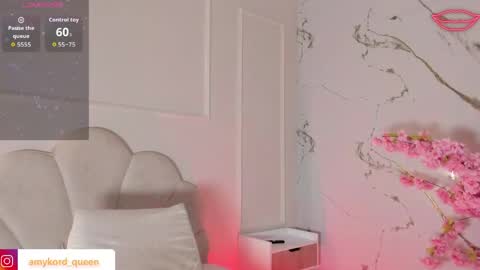 Amykord online show from April 2026 11:35:01 AM