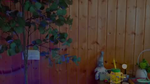 anabelcurvy online show from June 2026 02:16:02 PM