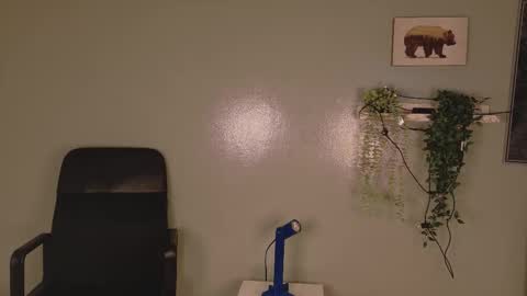 Kendra  online show from February 2026 10:20:02 AM