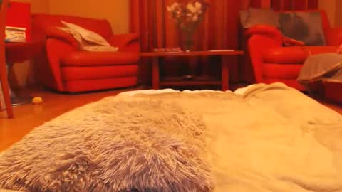 Andra online show from March 2026 05:17:01 PM