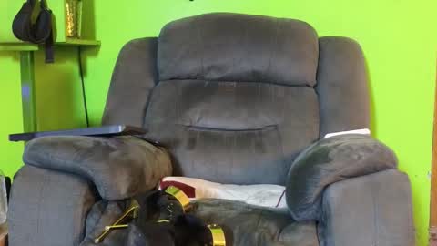 Angel online show from February 2026 02:24:02 PM