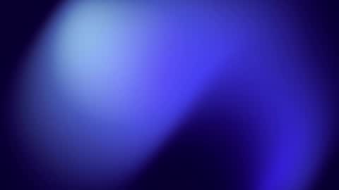 Ann online show from April 2026 03:21:01 PM