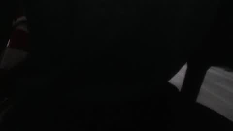 LoyalDog online show from February 2026 07:59:02 AM