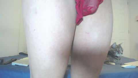 Snapshot of anny_bunny1 chatting on July 2026 06:43:02 PM INDEPENDENT MODEL next srteam 240624 online show from July 2026 06:43:02 PM