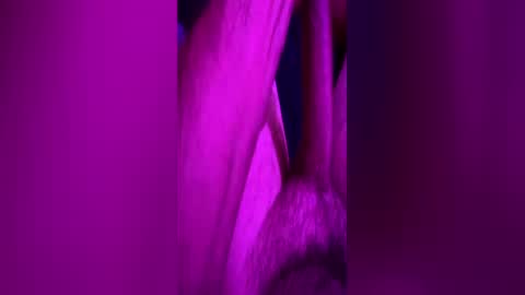 anonymous82389 online show from June 2026 11:58:01 PM