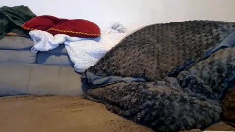 anonymousex15 online show from November 2025 12:42:01 PM