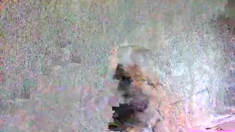 ansem1143 online show from April 2026 02:14:02 PM