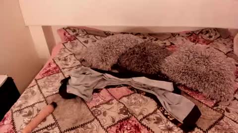 antoniasalas online show from June 2026 02:24:02 AM