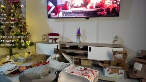 Snapshot of anyi_1 chatting on January 2025 03:24:02 AM Anyi Orion and Pyxis online show from January 2025 03:24:02 AM