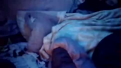 apocolypseanomaly online show from December 2024 12:49:02 PM