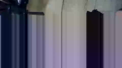 apocolypseanomaly online show from December 2024 11:59:01 PM