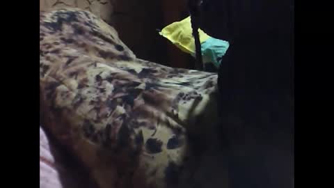 Snapshot of ara_bellah chatting on March 2026 08:34:01 PM ara bellah online show from March 2026 08:34:01 PM