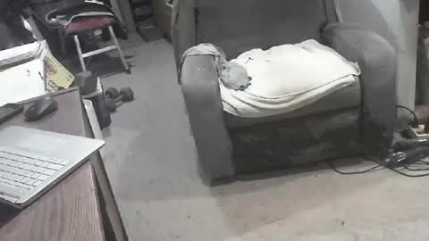 arealshowoff online show from March 2026 12:08:01 PM