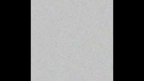 Arianna Collins online show from March 2026 11:15:02 AM